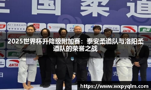 2025世界杯升降级附加赛：泰安柔道队与洛阳柔道队的荣誉之战